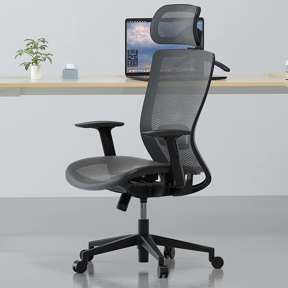 Flexispot ergonomischer Bürostuhl OC3B