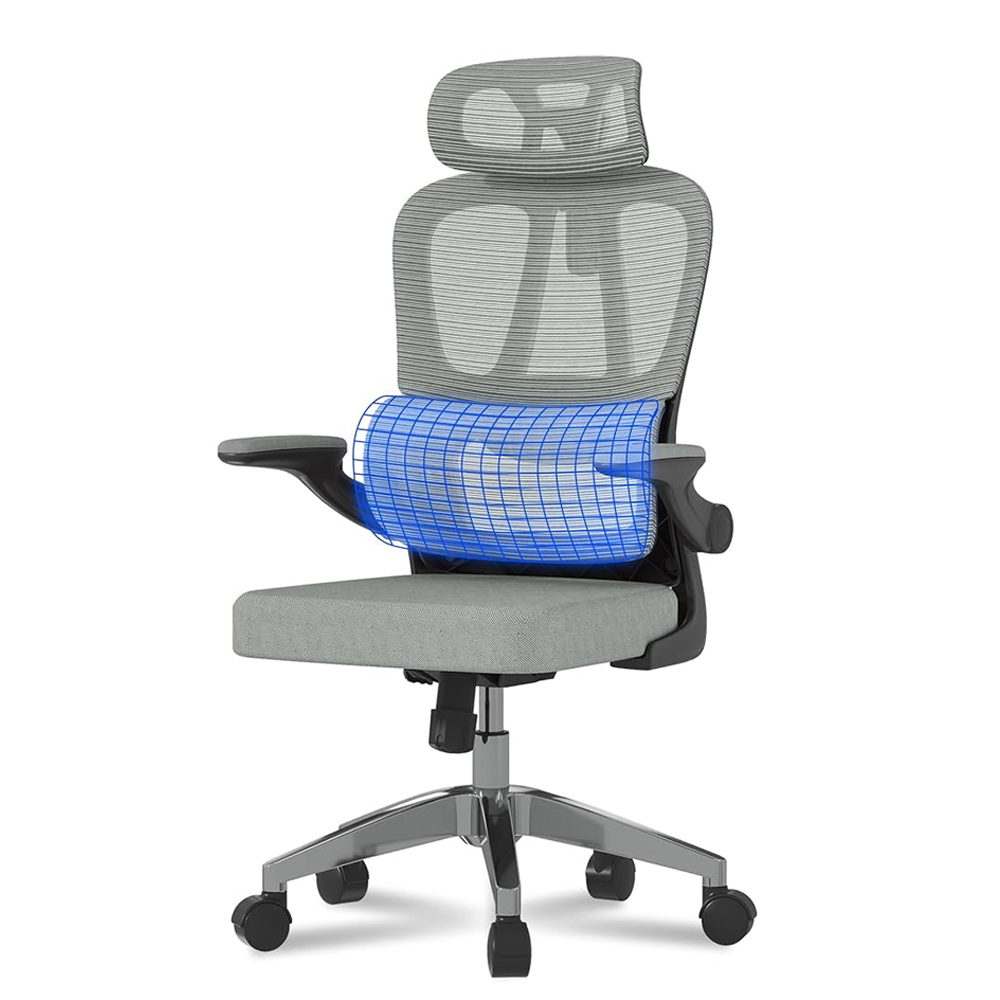 Flexispot ergonomischer Bürostuhl OC19B