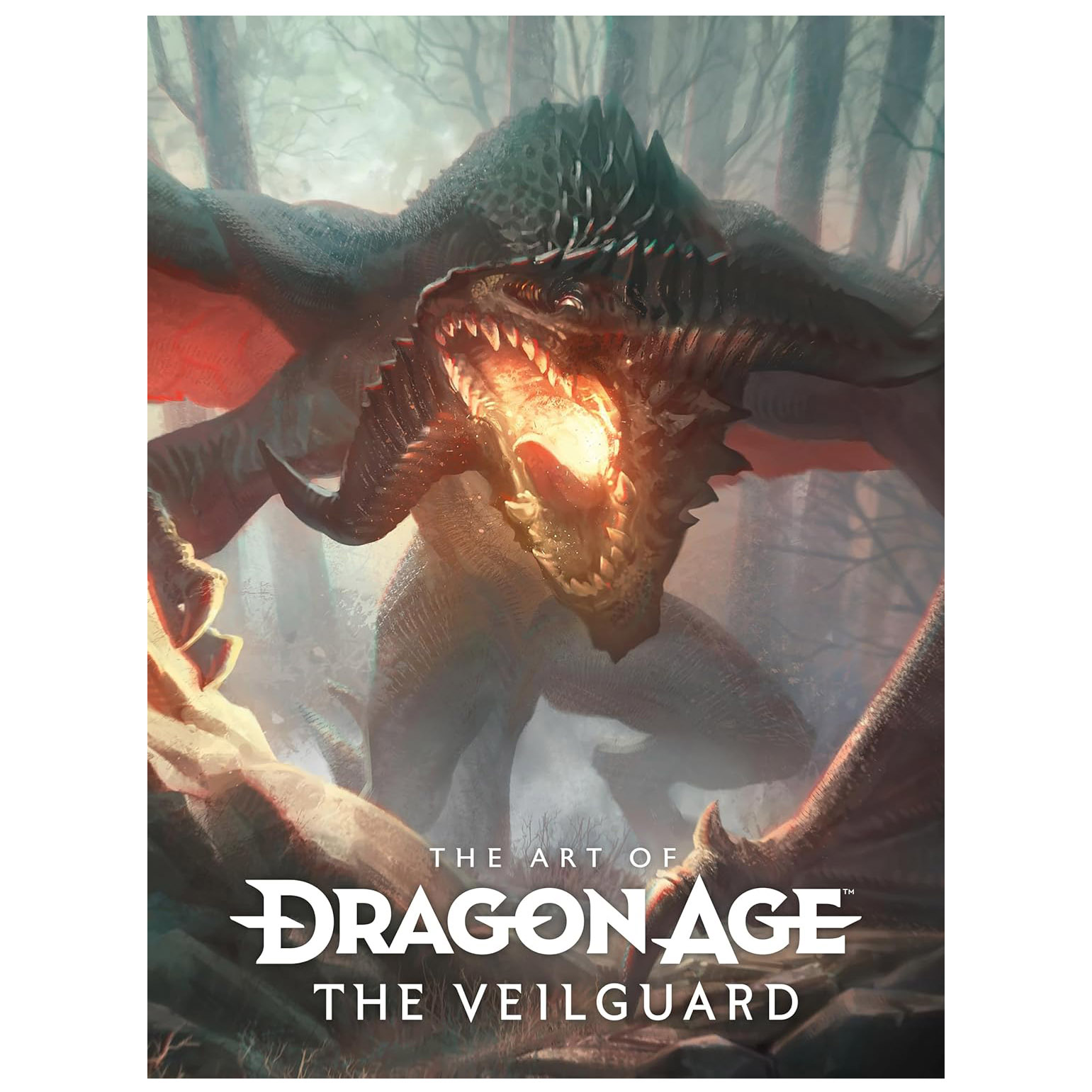 The Art of Dragon Age:<br>The Vailguard