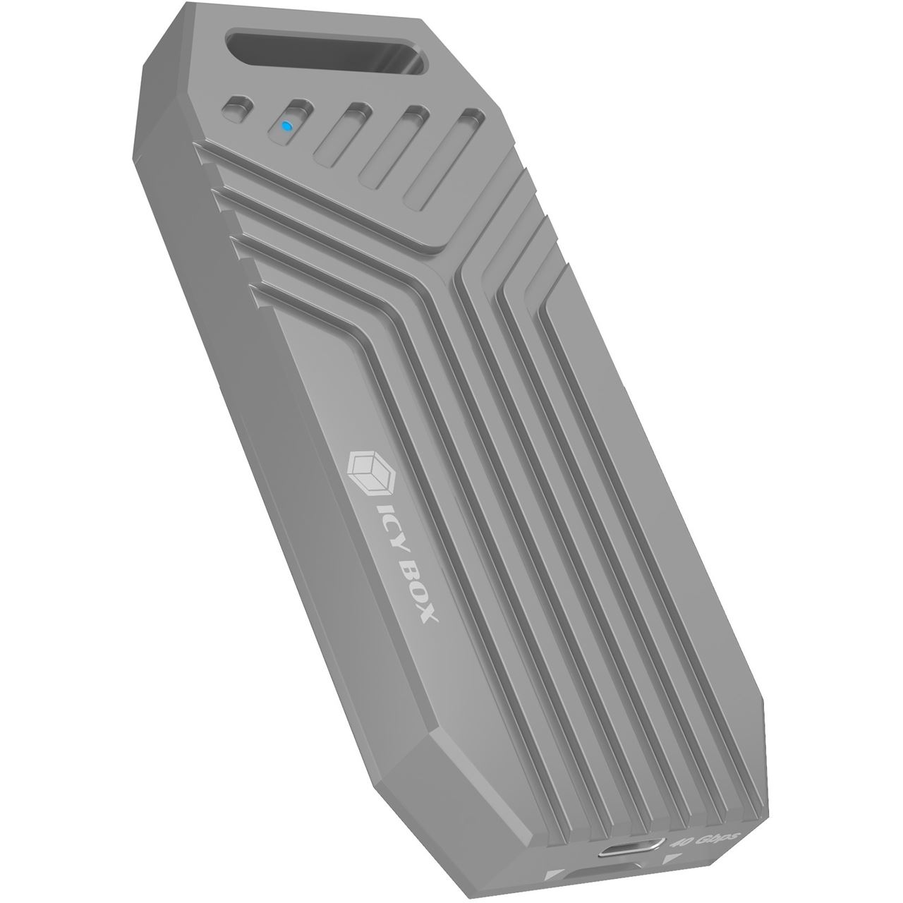 Raidsonic Icy Box IB-1919M-C42